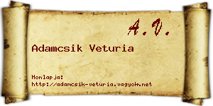 Adamcsik Veturia névjegykártya
